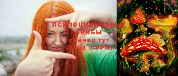 дживик Ладушкин