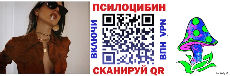 Псилоцибиновые грибы Psilocybine cubensis  площадка состав  Салават 