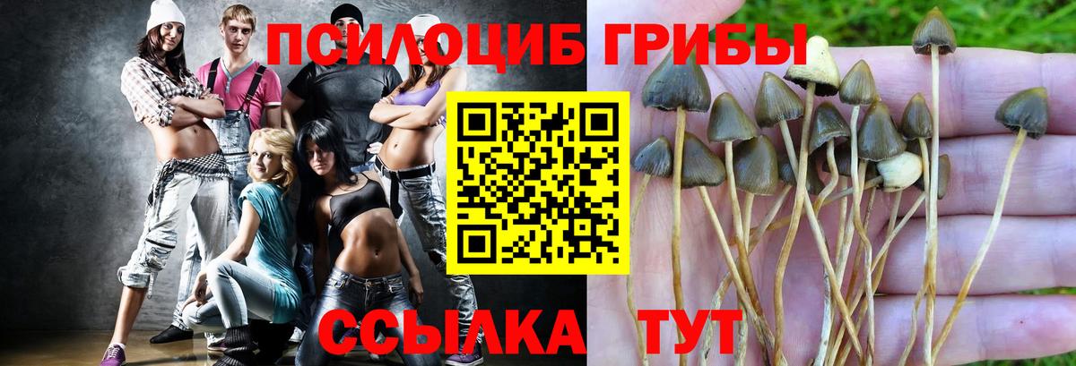 Псилоцибиновые грибы GOLDEN TEACHER  Галлюциногенные грибы Psilocybe  Вход с VPN  Салават 